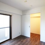 洋室からみたウォークインクローク。